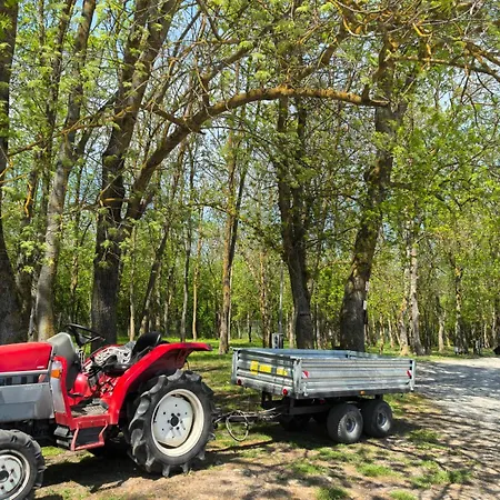 Krapec Beach Campsite Krapets (Dobrich)